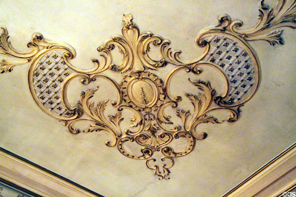 Ceiling design at Rosemount House Museum. Pueblo, CO.