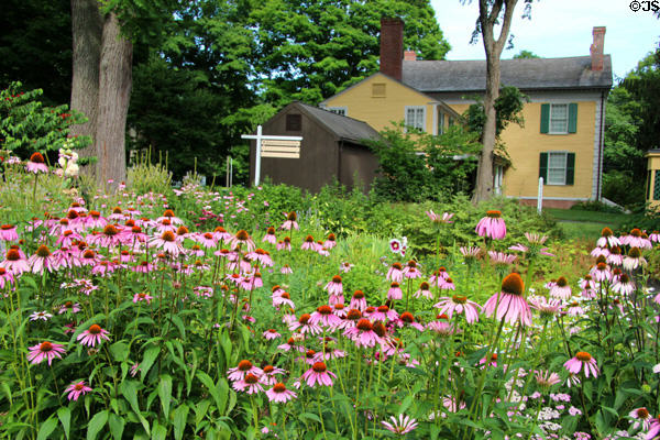 Garden at Florence Griswold Museum. Old Lyme, CT.