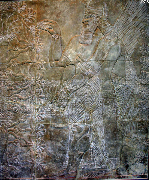Alabaster Assyrian relief (883-859 B.C.) showing human headed genie watering a sacred tree from Nimrud Palace in Yale Art Gallery. New Haven, CT.