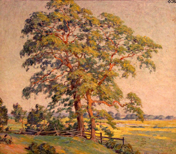Pepperidge Trees painting by William Chadwick of Old Lyme art colony at Mattatuck Museum. Waterbury, CT.