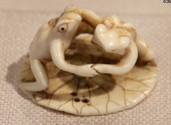 Japanese ivory Netsuke of two frogs wrestling on lotus leaf (19th C) at Yale University Art Gallery. New Haven, CT.