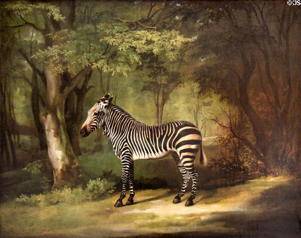 Zebra painting (1763) by George Stubbs at Yale Center for British Art. New Haven, CT.