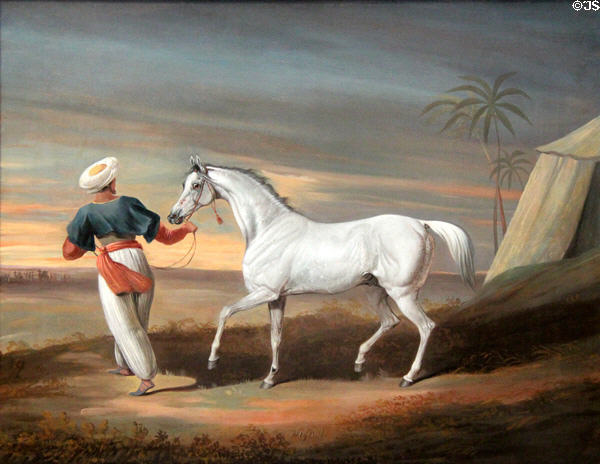 Signal, a Grey Arab with Groom in the Desert painting (1820 or 29) by David Dalby of York at Yale Center for British Art. New Haven, CT.