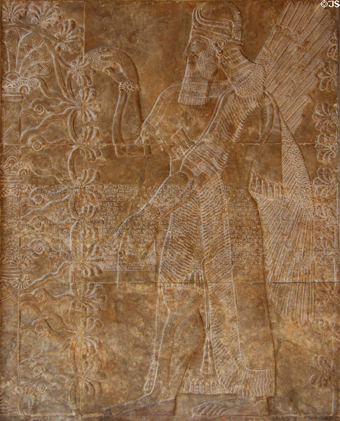 Assyrian relief of human-headed spirit figure (Apkallu) tending sacred tree (c883-859 BCE) at Yale University Art Gallery. New Haven, CT.