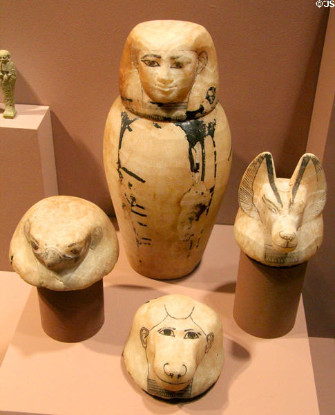 Egyptian canopic jars (c Dynasty 25-30; 760-341 BCE) from Abydos contained mummified organs at Yale Peabody Museum. New Haven, CT.