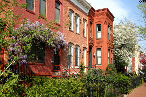 Row houses on A St. SE with gardens in bloom. Washington, DC.
