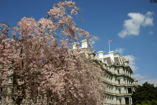 Old Executive Office Building with trees in blossoms. Washington, DC.