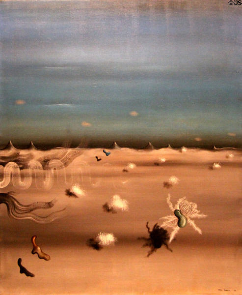 Look of Amber painting (1929) by Yves Tanguy at National Gallery of Art. Washington, DC.
