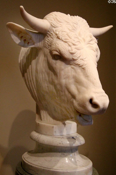 Head of a Bull marble sculpture (1824) by Gaetano Monti at National Gallery of Art. Washington, DC.