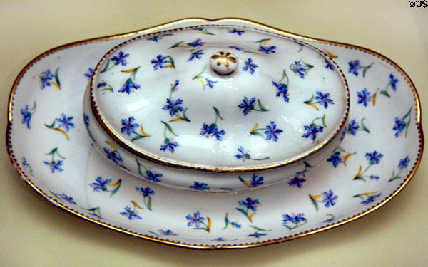 Sèvres china gravy boat purchased (1784) by John & Abigail Adams while U.S. minister to France at National Museum of American History. Washington, DC.