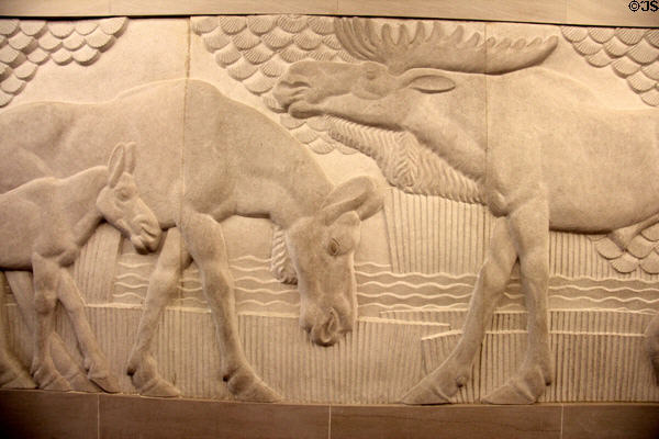 Moose relief (1939) by Boris Gilbertson on Department of the Interior building. Washington, DC.