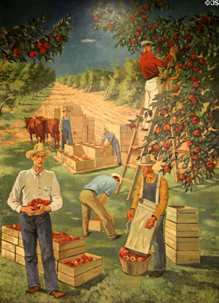 Picking apples mural (1938) by Nicolai Cikovsky at Interior Department. Washington, DC.