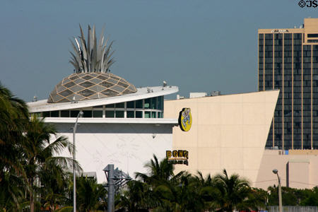 Pineapple topped entertainment spot at American Airlines Arena. Miami, FL.