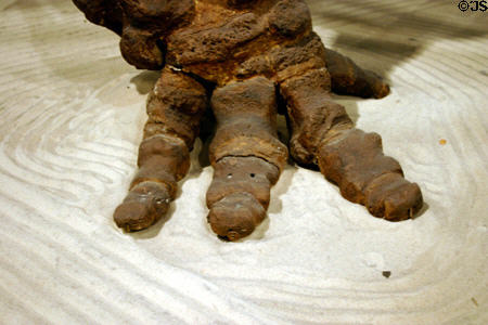 Foot bones of Mastodon skeleton in Museum of Florida History. Tallahassee, FL.