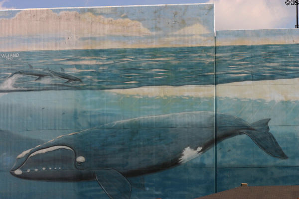 Detail of Right Whale mural (1993) by Wyland in Underground city. Atlanta, GA.