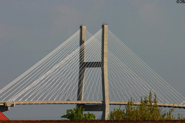 Cables of Talmadge Memorial Bridge. Savannah, GA.