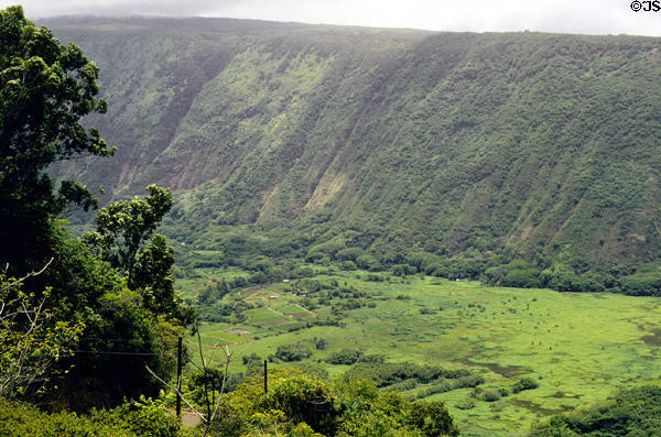 Former villages in Waipio Valley are reduced by past typhoons. Big Island of Hawaii, HI.