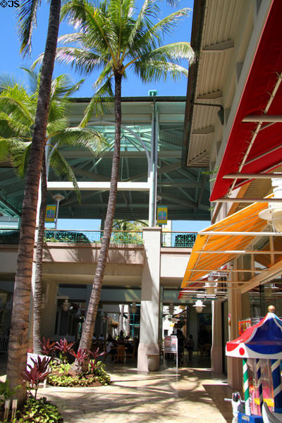 Palms & canopies at Aloha Tower Marketplace. Honolulu, HI.