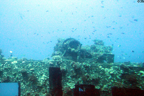 Marine growth on wreck seen from Atlantis submarine tours. Waikiki, HI.