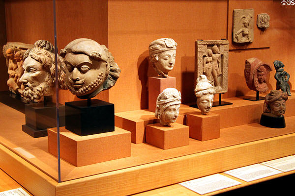 Collection of Indian & Afghan heads (3rd-5thC) at Honolulu Academy of Arts. Honolulu, HI.