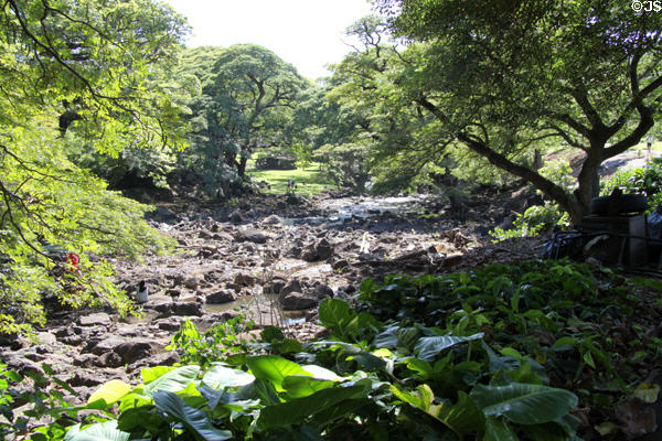 Lili' Uokalani Botanical Gardens follows rocky stream. Honolulu, HI.