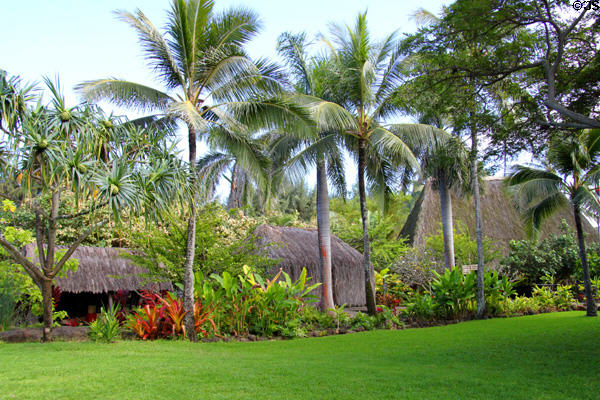 Grass huts of Hawaiian village at Polynesian Cultural Center. Laie, HI.