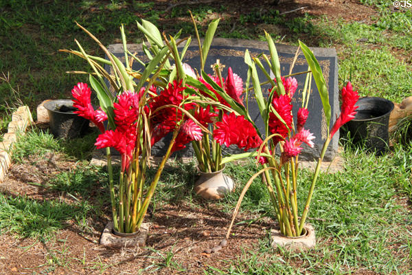 Memorial flowers in Haleiwa churchyard. Haleiwa, HI.