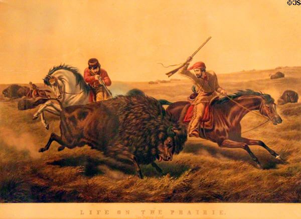 Life on the Prairie - The Buffalo Hunt print (c1850s) by Currier & Ives at Dodge House. Council Bluffs, IA.