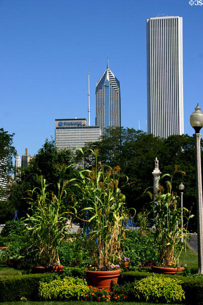 One & Two Prudential Plaza & Aon Center over gardens of Grant Park. Chicago, IL.