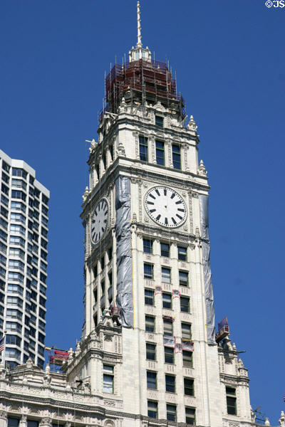 Clock tower of Wrigley Building. Chicago, IL.