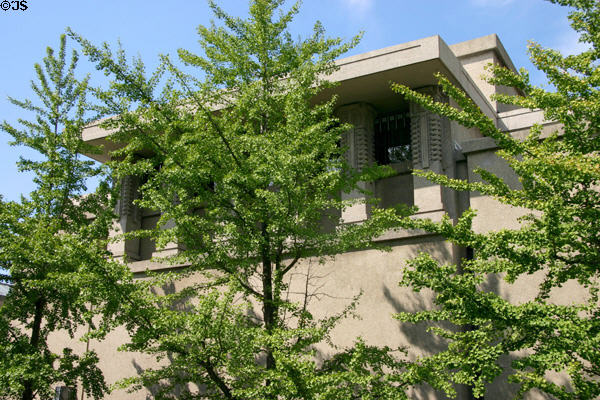 Gingko trees, a favorite of Wright, screen Unity Temple. Oak Park, IL.