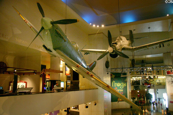 British Spitfire & German Stuka hanging in atrium of Museum of Science & Industry. Chicago, IL.