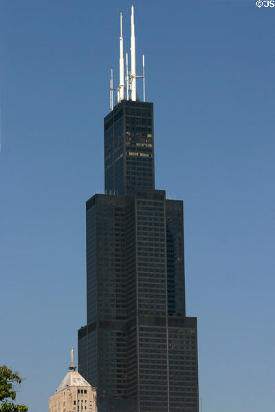 Sears Tower seen from Grant Park. Chicago, IL.