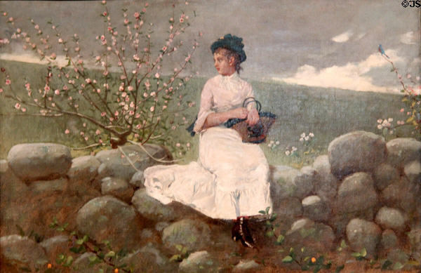 Peach Blossoms painting (1878) by Winslow Homer at Art Institute of Chicago. Chicago, IL.