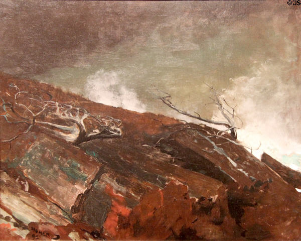 Coast of Maine painting (1893) by Winslow Homer at Art Institute of Chicago. Chicago, IL.