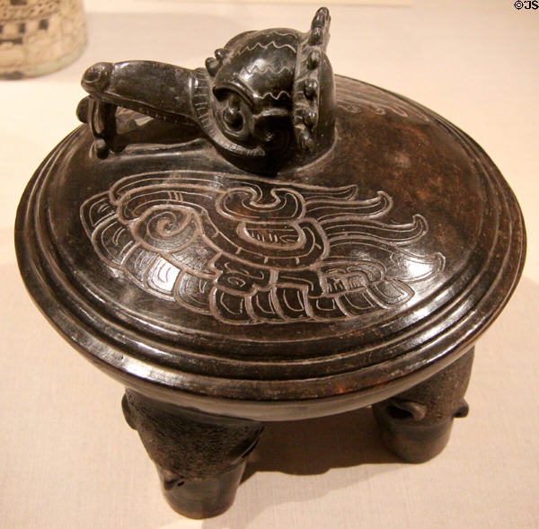 Early Classic Maya covered vessel with Principal Bird & Peccary Heads (200-300) from Petén region, Guatemala at Art Institute of Chicago. Chicago, IL.