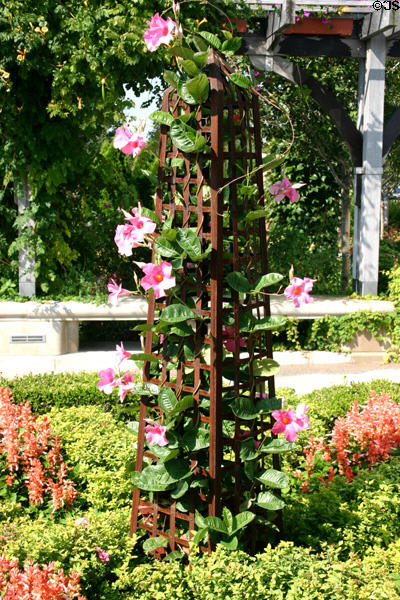 Trellises at White River Gardens. Indianapolis, IN.