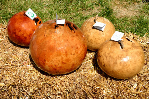 Gourd vessels at crafts festival at Locust Grove. Louisville, KY.