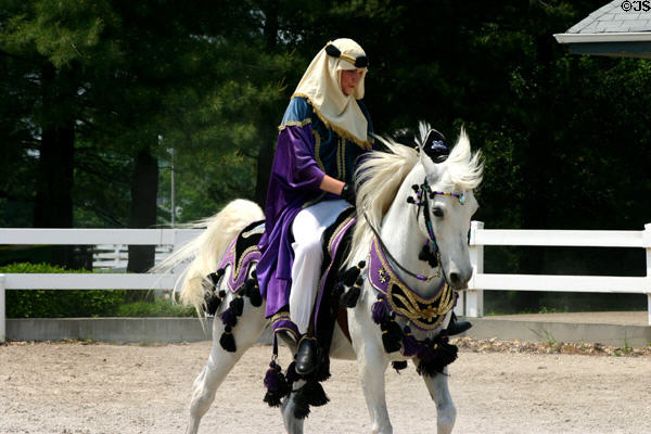 Arabian horse with rider at Kentucky Horse Park. Lexington, KY.