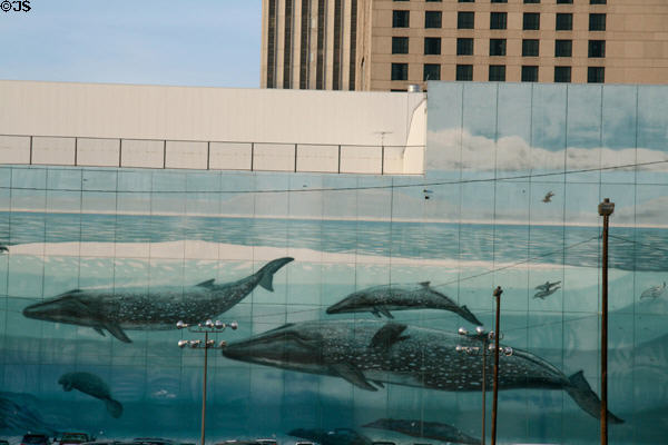 Whale wall by Wyland on building beside Riverwalk Marketplace. New Orleans, LA.