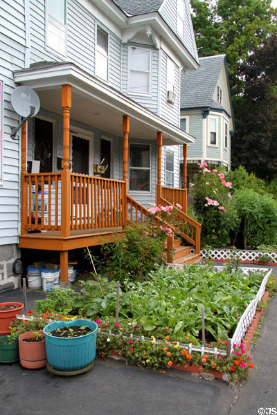Intensive garden on Westford St. in Highlands district of Lowell. Lowell, MA.