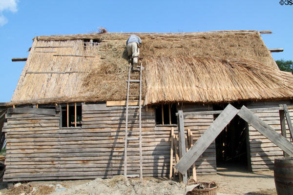 Thatching roof at Plimouth Plantation. Plymouth, MA.