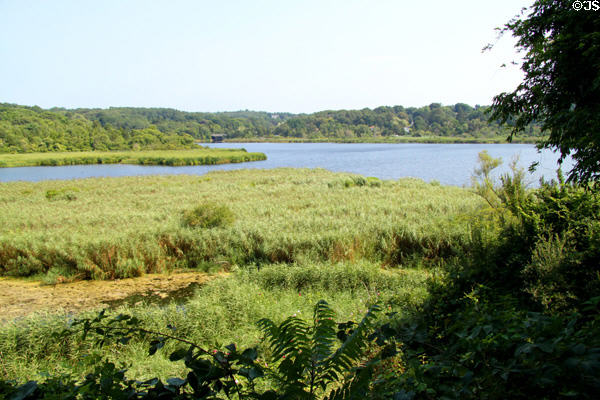 Cape Cod Bay wetlands at Plimouth Plantation. Plymouth, MA.