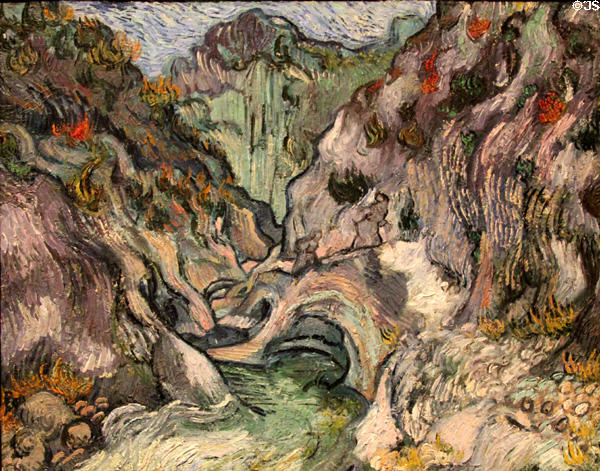 Ravine (1889) painting by Vincent van Gogh at Museum of Fine Arts. Boston, MA.