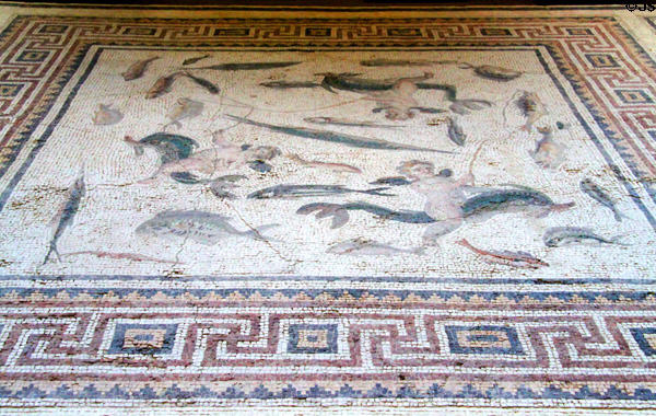 Roman mosaic floor of marine animals (200-230 CE) from Antioch at Museum of Fine Arts. Boston, MA.