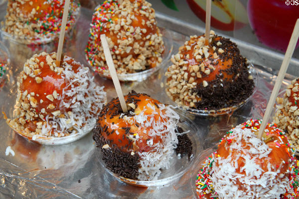 Candied apples at Italian neighborhood street festival in north end of Boston. Boston, MA.