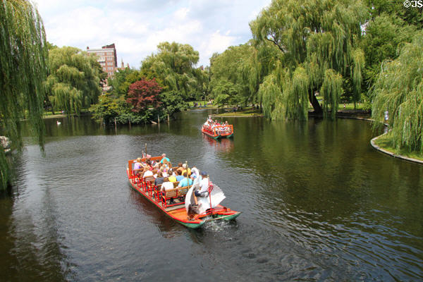 Swan Boats at Boston Public Garden. Boston, MA.