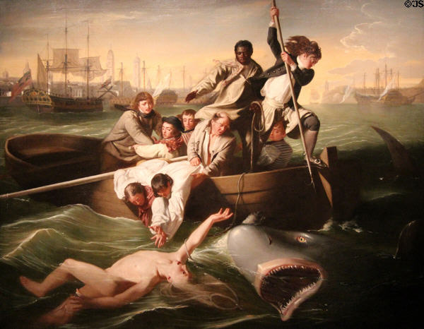 Watson & the Shark painting (1778) by John Singleton Copley at Museum of Fine Arts. Boston, MA.