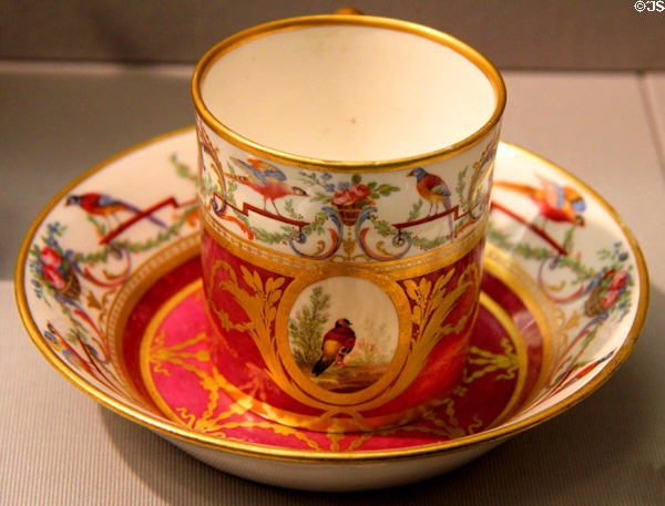 Porcelain cup & saucer (c1785) by Sèvres Manuf., France at Detroit Institute of Arts. Detroit, MI.