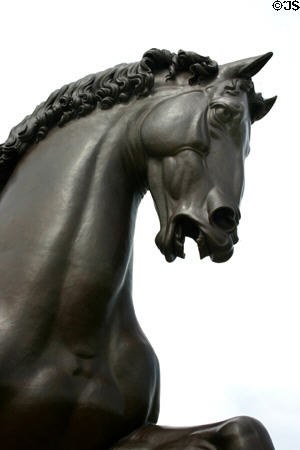 Leonardo da Vinci's Horse detail of head in Meijer Garden. Grand Rapids, MI.